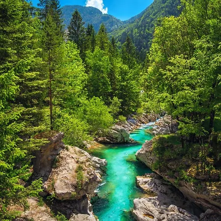 Marta Slovenia Natures - Happy *